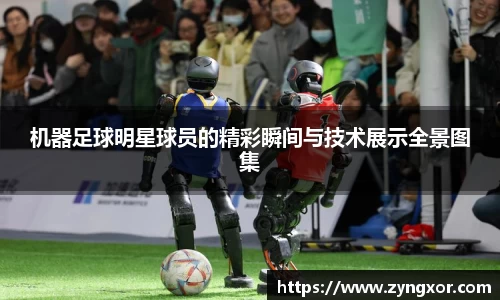 必一运动b-sports官方网站