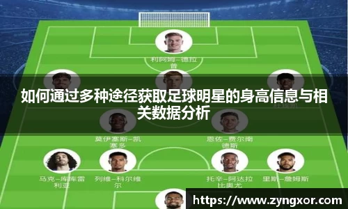 必一运动b-sports官网